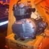 Primary Cover  EMD per Triumph T100
