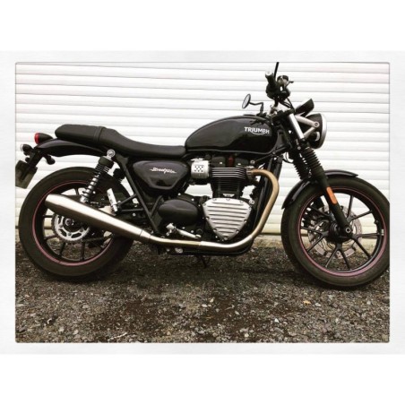 Copertura Statore EMD per Triumph T120