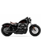 HD Sportster Evo