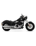 HD Twin Cam